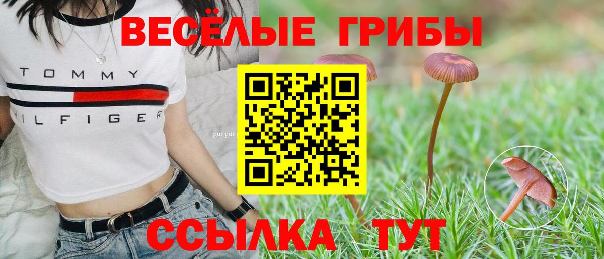 Псилоцибиновые грибы мицелий  Псилоцибиновые грибы GOLDEN TEACHER  Вход с VPN  Осинники 